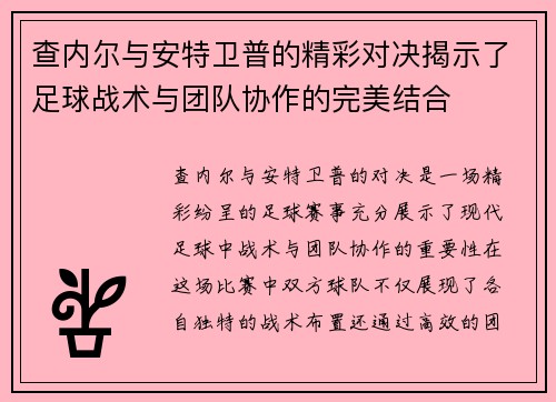 查内尔与安特卫普的精彩对决揭示了足球战术与团队协作的完美结合